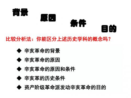 人教版高中历史选修5 探索历史的奥秘背景类问题的分析方法教学课件