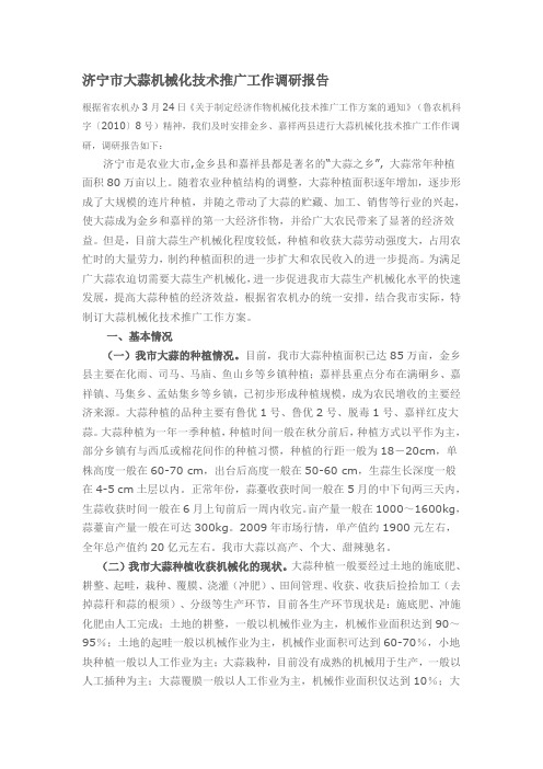 济宁市大蒜机械化技术推广工作调研报告