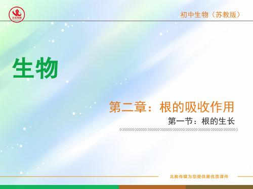 第二章根的吸收作用