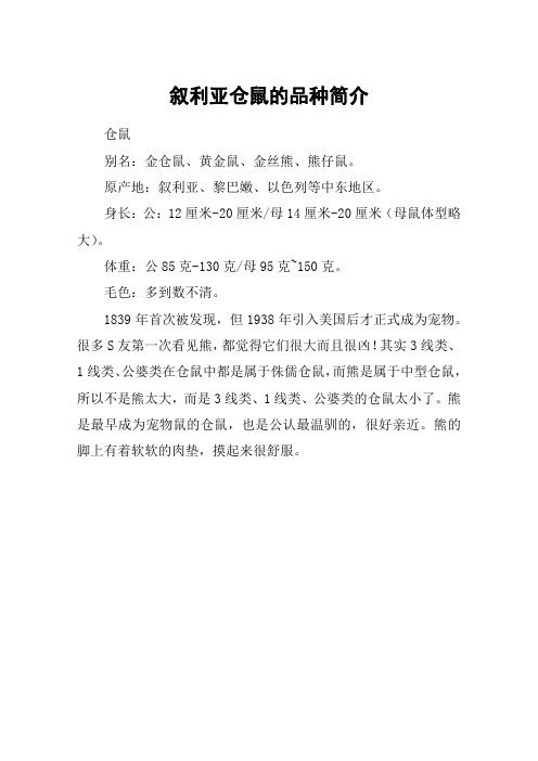 叙利亚仓鼠的品种简介