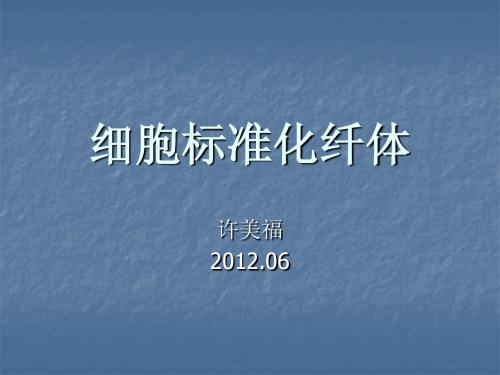 细胞标准化纤体ppt