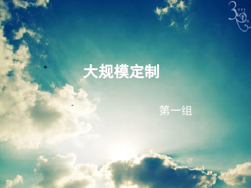 大规模定制概述