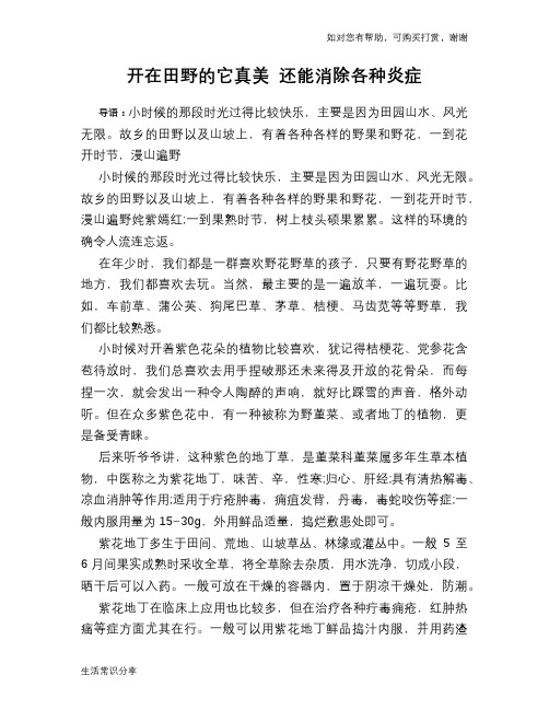 开在田野的它真美 还能消除各种炎症