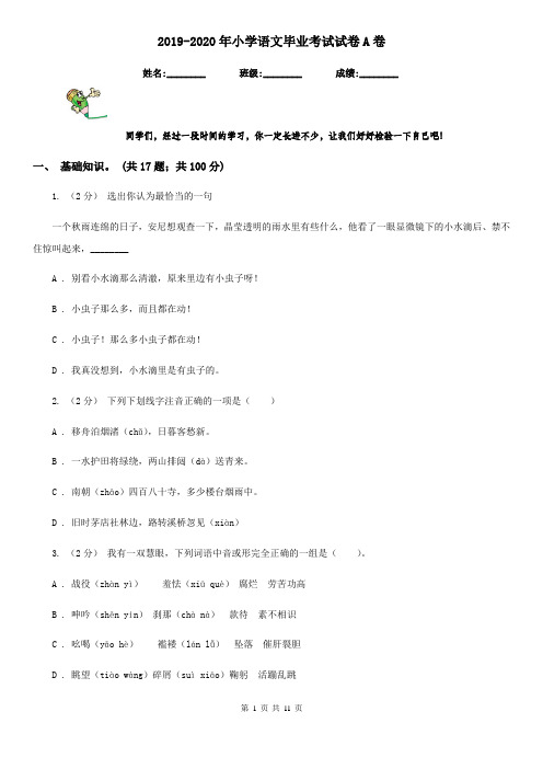 2019-2020年小学语文毕业考试试卷A卷