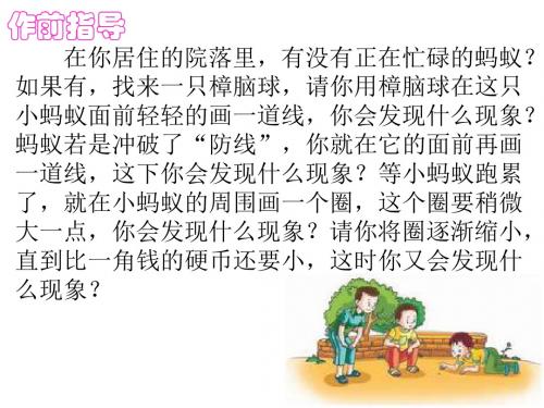 苏教版六年级语文下册 习作4 记一次实验(附教案)