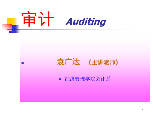 刘明辉审计7-12章