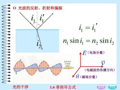 菲涅耳公式和半波损失