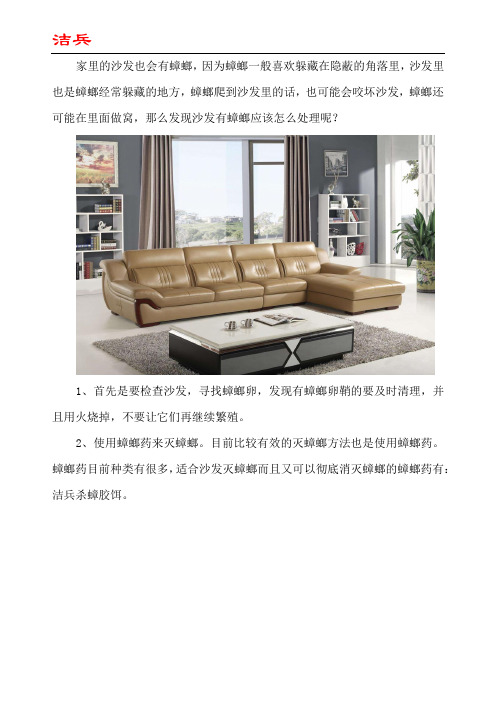 沙发里有蟑螂怎么处理