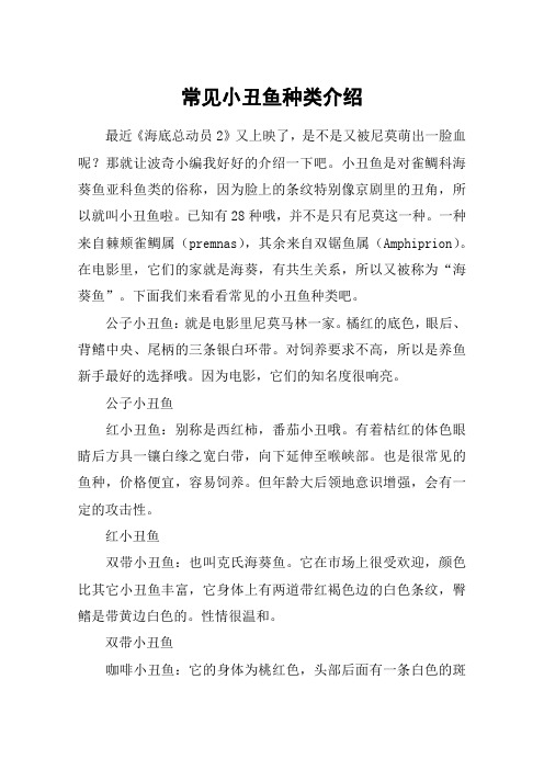 常见小丑鱼种类介绍