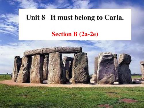 2014人教版新目标英语九年级Unit8._It_must_belong_to_Carla.Section B(2a-2e)