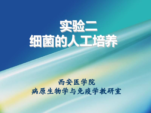 实验二 细菌的人工培养