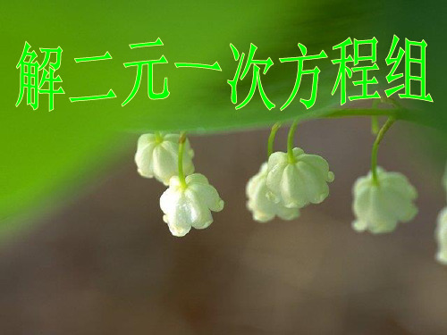 人教版七年级数学下册8.2消元----解二元一次方程组(共35张PPT)