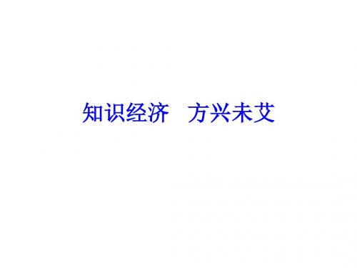 知识经济---方兴未艾(新编2019教材)