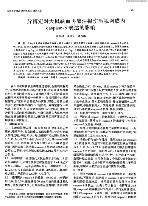 异搏定对大鼠缺血再灌注损伤后视网膜内caspase-3表达的影响