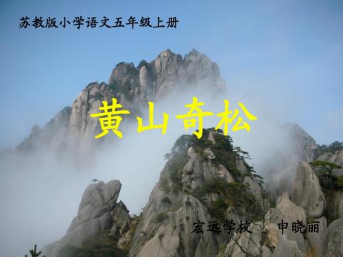 黄山奇松课件