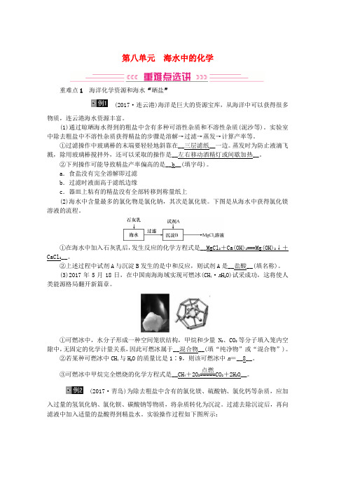 2019年中考化学总复习教材考点梳理第八单元海水中的化学练习鲁教版word版本