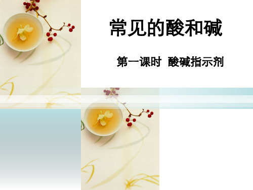 常见的酸和碱 说课PPT