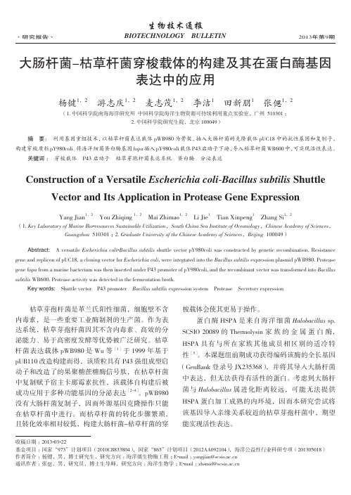大肠杆菌-枯杆菌穿梭载体的构建及其在蛋白酶基因表达中的应用