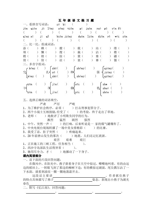 五级语文第十册期末考试试卷