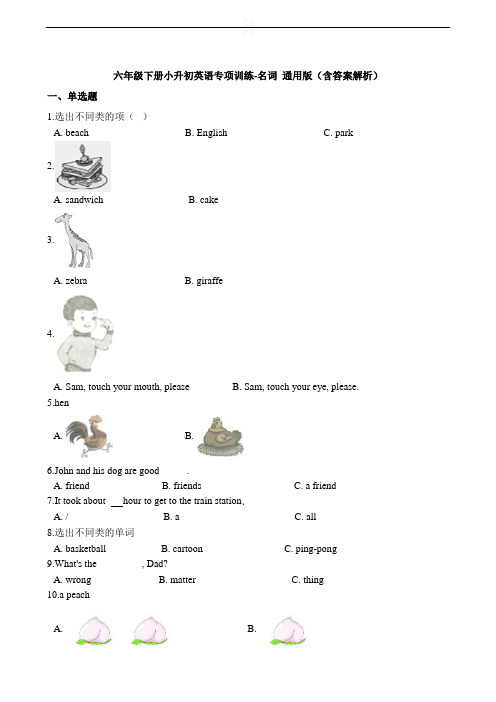 六年级下册英语试题-小升初英语专项训练 名词 通用版(含答案解析)