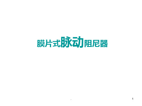 膜片式脉冲阻尼器PPT课件