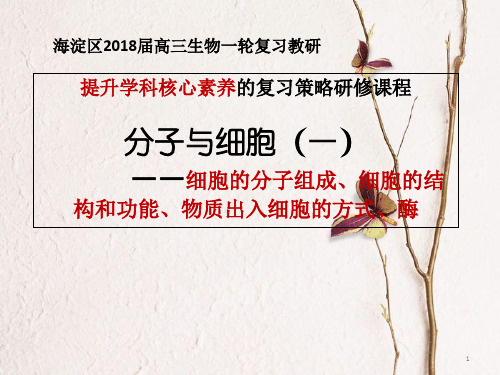 北京市海淀区高三生物一轮复习教研《分子与细胞》(一)课件 必修1.pptx