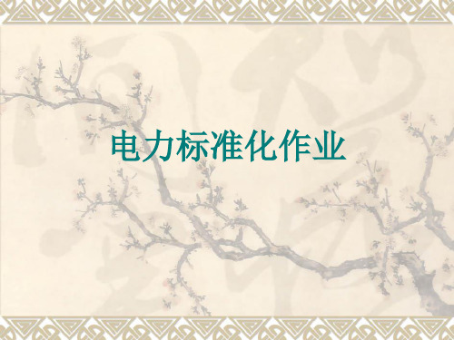 电力标准化作业课件