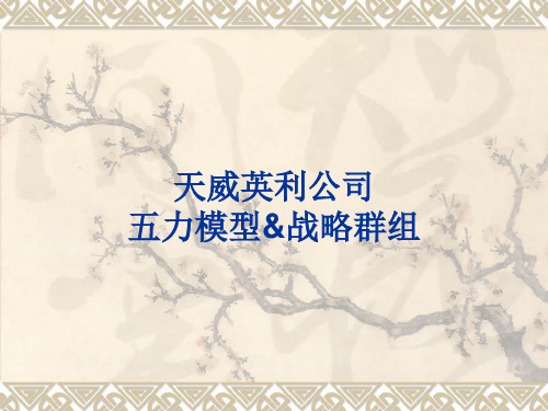 五力模型分析——天威英利公司