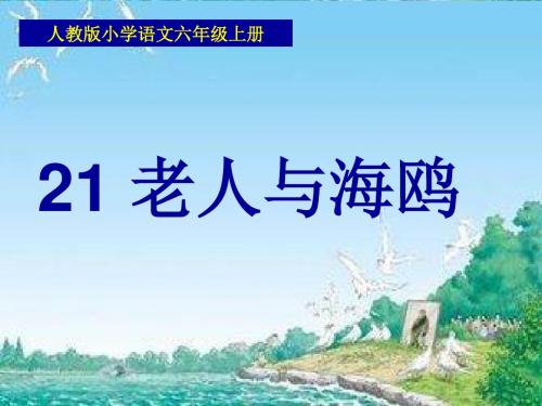 人教版小学语文六年级上册《 21 老人与海鸥》 名师ppt课件_1