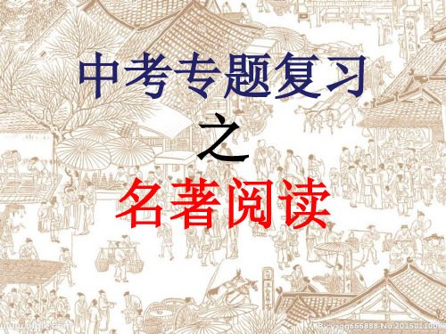 2019中考专题复习之名著阅读ppt课件