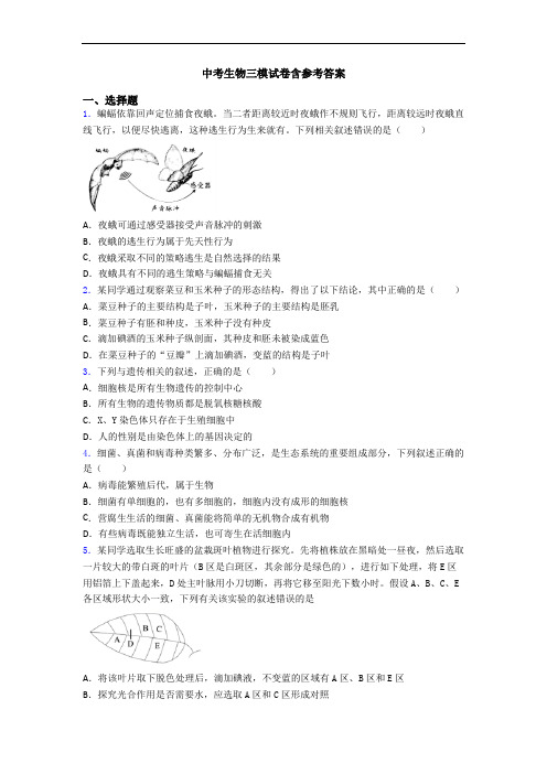 中考生物三模试卷含参考答案