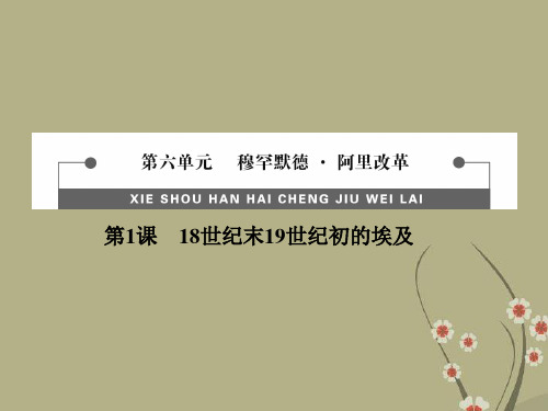高中历史 6.1 18世纪末19世纪初的埃及教学课件 新人教版选修1