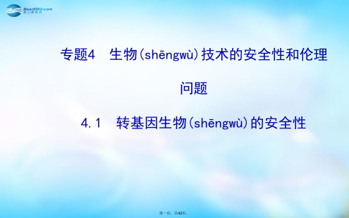 高中生物 4.1转基因生物的安全性课件 新人教版选修3 