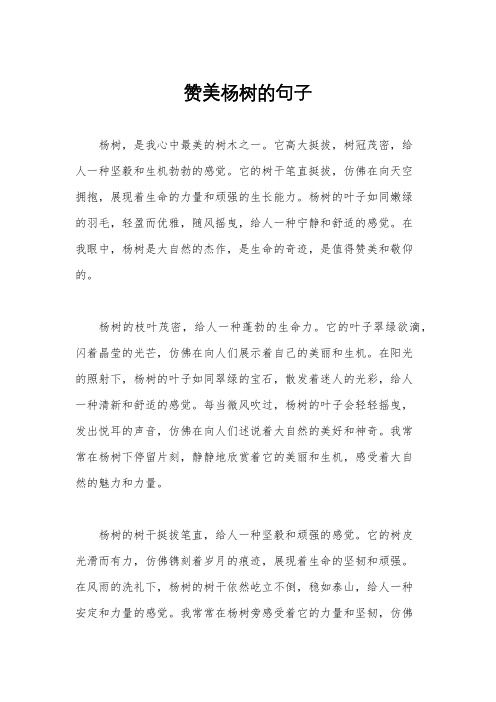 赞美杨树的句子