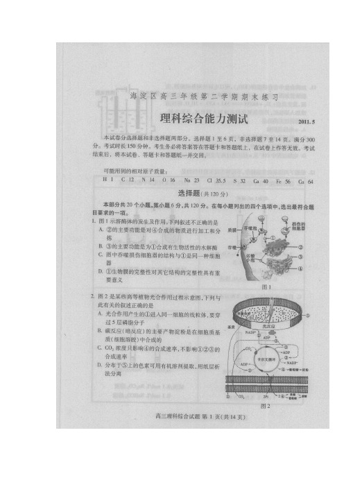 北京海淀2011高三二模考试理综扫描版