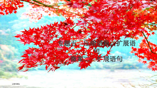高考语文一轮复习 第3编 语言文字运用 专题五 压缩语段、扩展语句 微案二 扩展语句课件