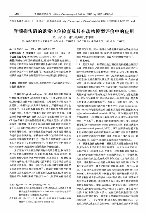 脊髓损伤后的诱发电位检查及其在动物模型评价中的应用