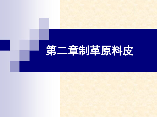 第1章_制革原料皮汇总