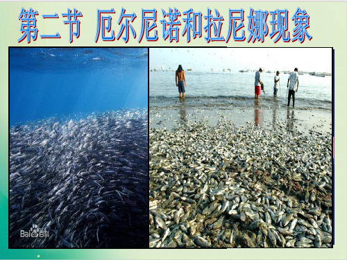 人教版高二地理选修 厄尔尼诺和拉尼娜现象 教用课件