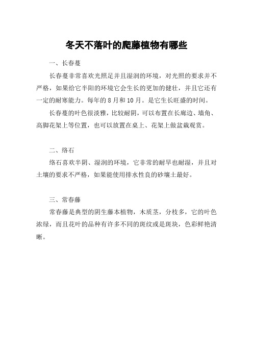 冬天不落叶的爬藤植物有哪些