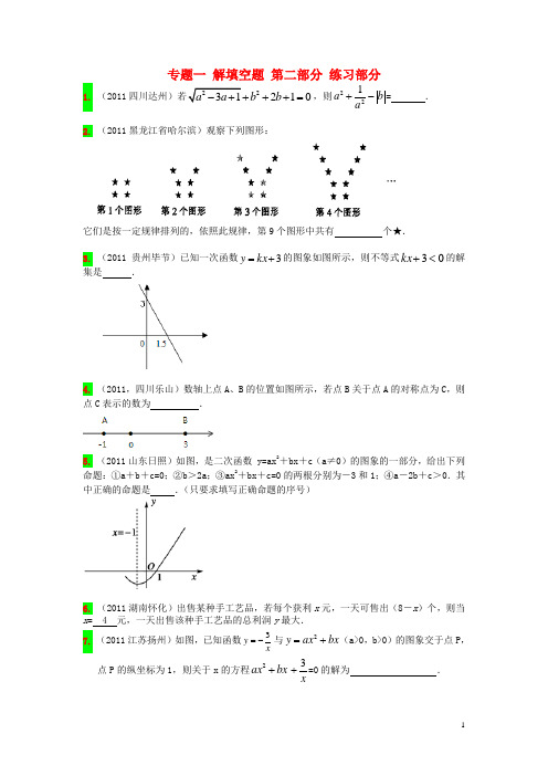 山东省济宁市2013年中考数学专项复习 专题一 解填空题 第二部分 练习部分