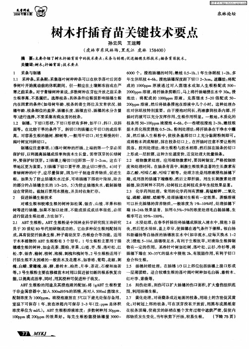 树木扦插育苗关键技术要点