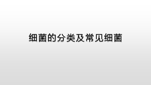细菌的分类及常见细菌