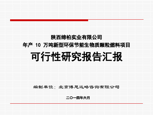 可行性研究报告(汇报稿)成功案例完整版——生物质颗粒燃料项目