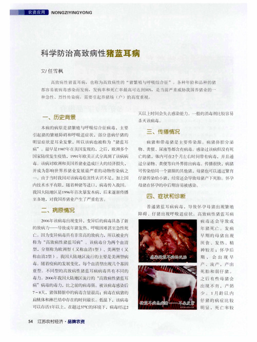 科学防治高致病性猪蓝耳病