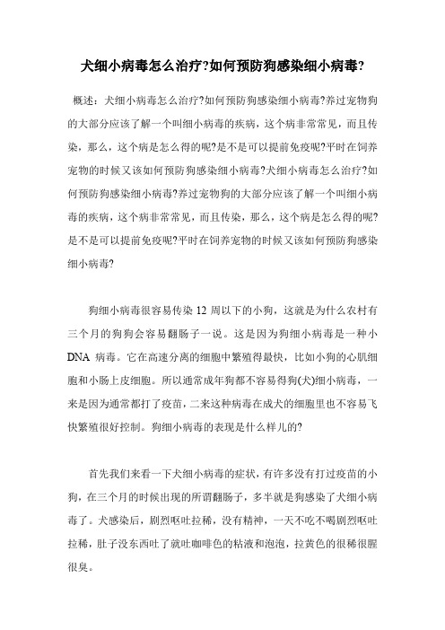犬细小病毒怎么治疗-如何预防狗感染细小病毒-.doc