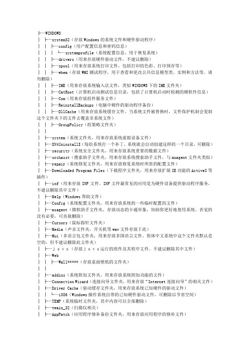 WINDOWS文件夹详解