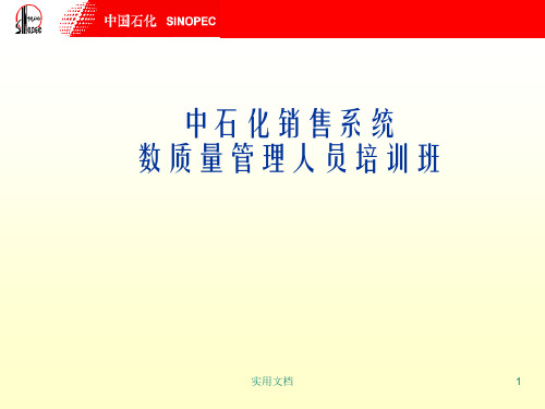 中石化销售系统数质量管理人员培训教材