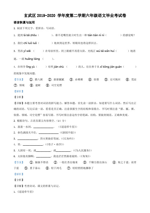 2019-2020学年江苏省南京市玄武区部编版六年级下册期末考试语文试卷(解析版)