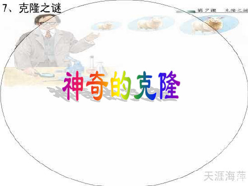 神奇的克隆第一课时